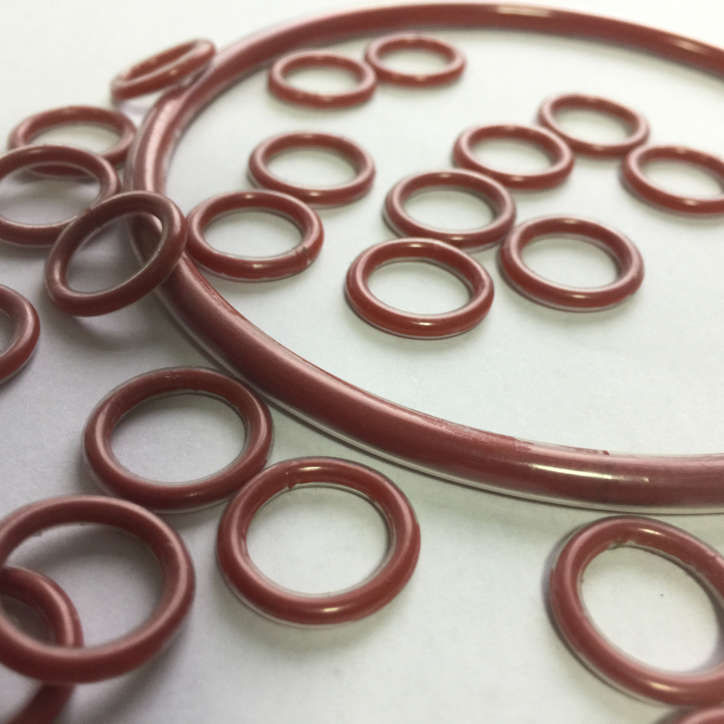 Red-brown O-rings in several sizes arranged with a larger ring